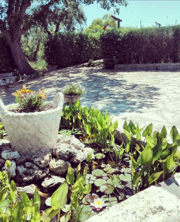 Villa Trulli Francesca Ciclovia Locorotondo Exterior foto